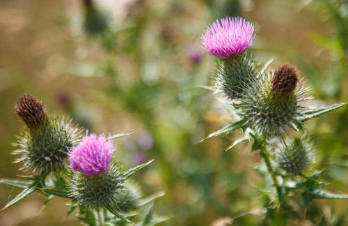 Luxury Glamping Cabin with Outdoor Bath on Cornish Meadow - Photo 35