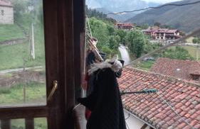 La casa de los gatos - Foto 2