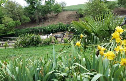 Agriturismo San Filippo - Foto 6