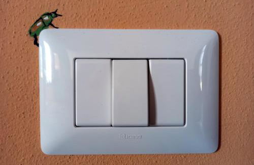 Agriturismo Podere Padolecchie - Azienda Agricola Passerini - Foto 20