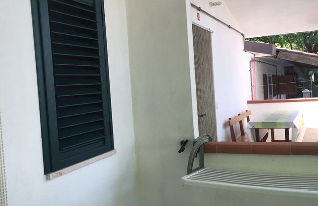 Viola Club Village - Photo 37