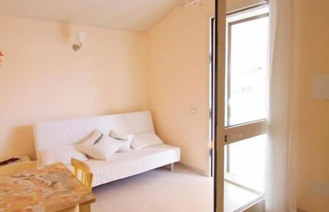 Lucciole nella nebbia - Foto 12