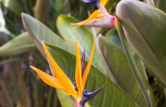 Hotel Rural Xereca - Foto 150