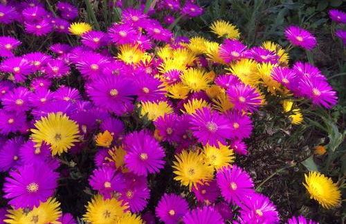 Villa de Paco - Foto 31