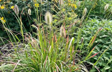 Chalet Sch-l-afbock - Photo 34