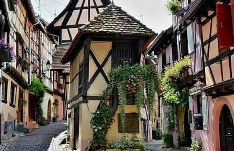 Fleur de Vigne - Foto 32