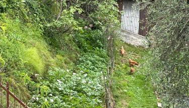 Family House - Foto 4