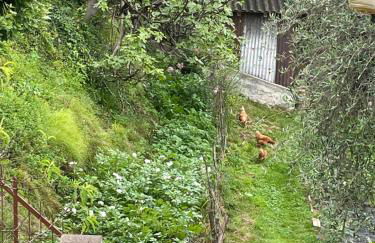 Family House - Foto 4