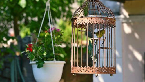 Zelena oaza - Foto 5