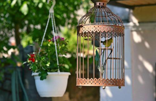 Zelena oaza - Foto 5