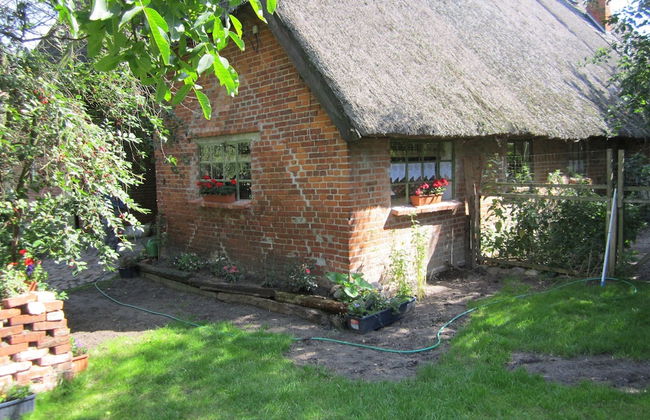 Wohnung in Blowatz an der Ostseekuste - Foto 1