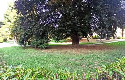 Casa Stella Pineta - Foto 57