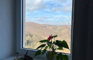 Fi-Eck Apartments - Foto 18