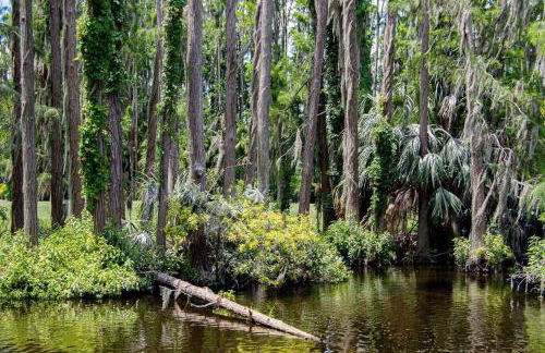 Matchless Luxury II on Mill Pond - Foto 42