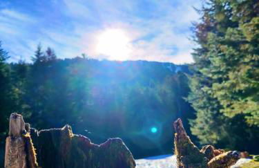 Appartement Chalet à 1400m - Station du Mourtis - Foto 26