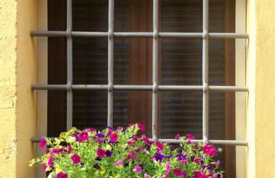 Nido Bianco - Foto 16