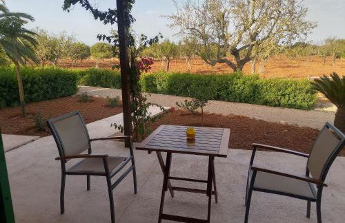 son capellot - Foto 6