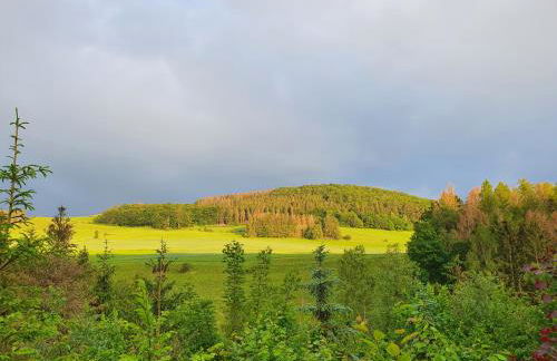 Urlaub mit der ganzen Familie im Ferienhaus in der Natur - Foto 32