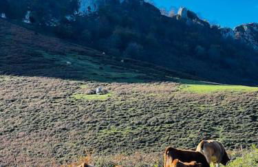 Getaway to paradise - Asturias - Foto 14