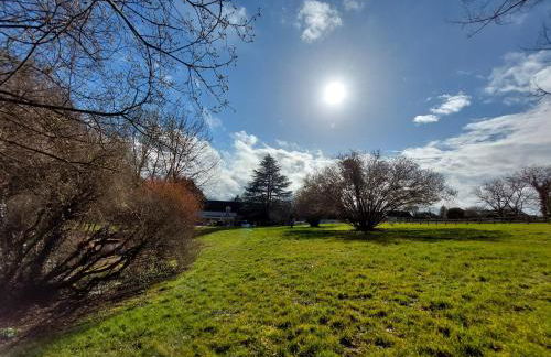 Traînefeuilles - Gîte au Four à Pain proche Zoo de Beauval - Foto 32