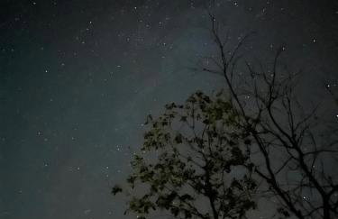 Wilga Leśne SPA - Foto 52