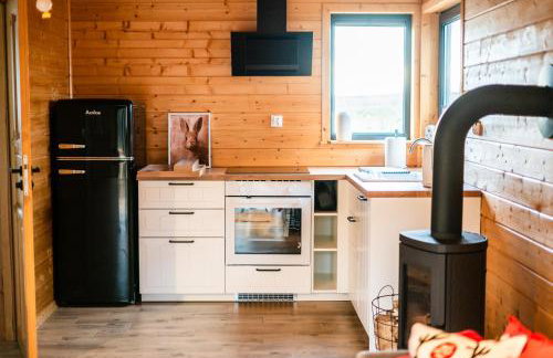 Nad brzozowym stawem - Foto 26