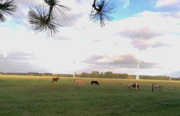 Schleusenhof Ferienwohnung - Foto 39