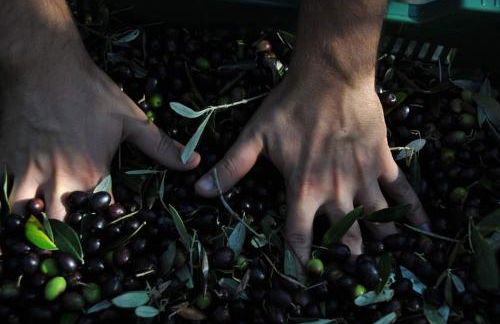 Agriturismo La Casetta del Sole - Photo 13