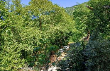 The Mushroom Cottage - Foto 44