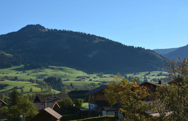 Hornflue (Baumann) - Foto 10