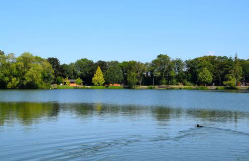 Beech Lodge 4 Hot Tub - Photo 9