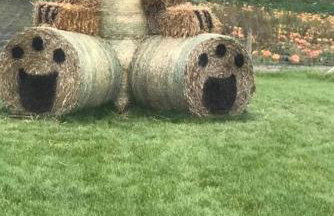 'Mill Cottage' Parbold - Foto 17