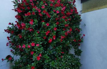 "Lemon Tree House"for Climbers and Mtb - Foto 18