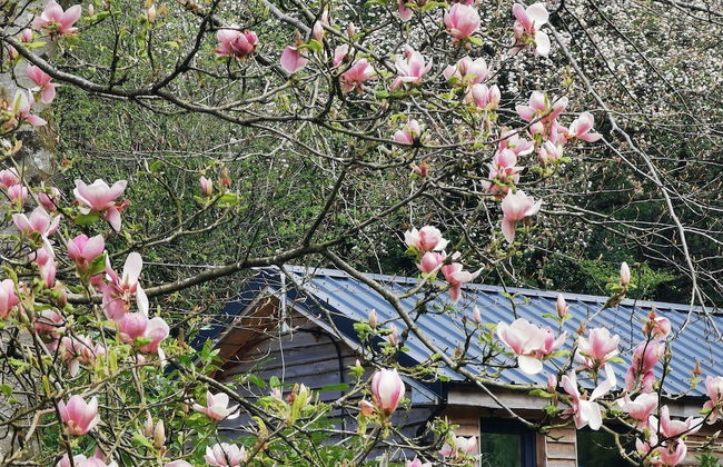 Countryside Cottage Retreat at Ty'r Cwm Farm - Photo 5