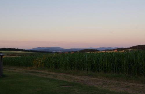 Holzhaus Lugerhof - Foto 45