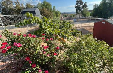 Amazing Ranch Home in Temecula wine country - Foto 17