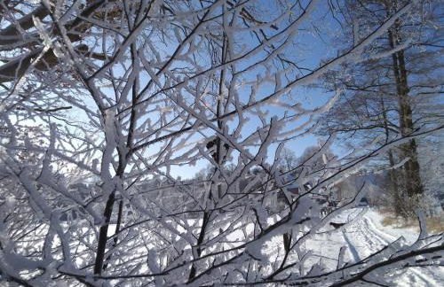 Villa Duck-Dich-Südheide - Photo 41