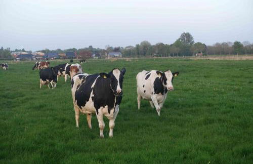 Urlaub auf dem Janssenhof - Foto 8