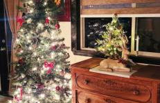 Quail Covey Cottage - Foto 15