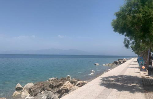 Blackbird Seaside Apartment - Foto 8