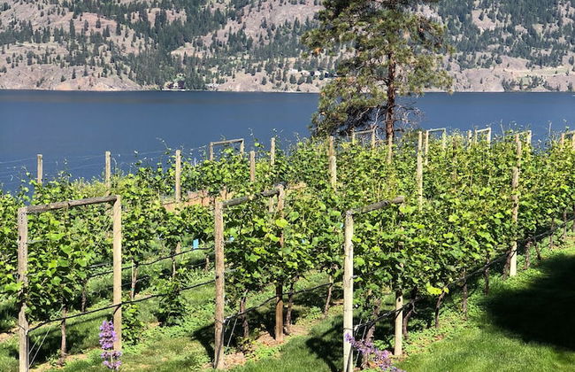 Château Okanagan - Foto 33