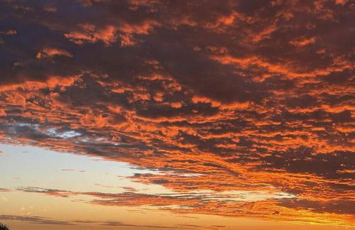 Walk to Torrey Pines Beach! Beachwalk Bungalow - Photo 28