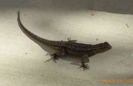 Mansion on the Hill let 4 Rooms, 5th cost extra - Foto 40