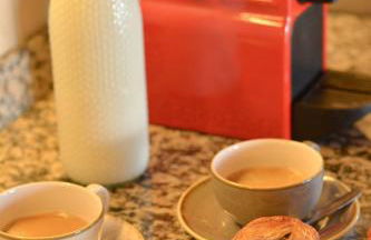 Mas Salvador Rural Experience - Photo 66