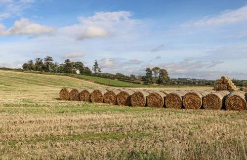 Bonjedward Mill Farm Cottage - Foto 22