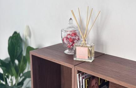 Studio récent avec terrasse Airbus Aéroport - Foto 24