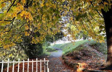 6 Luxury home near family park Pet friendly - Photo 18