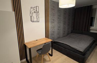 Panorama Premium Plac Jana z Głogowa 2 - Foto 4