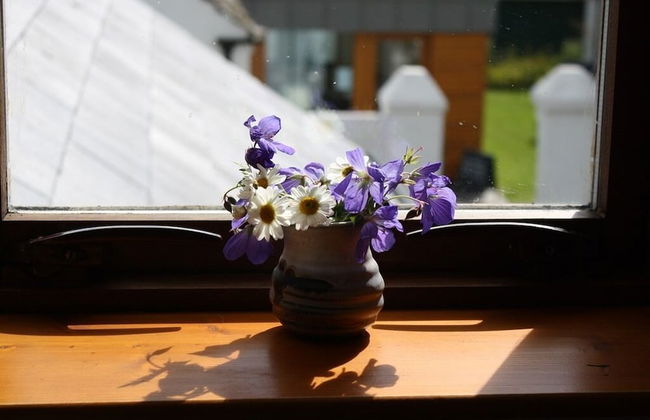 Ballylagan Organic Farm - Foto 10