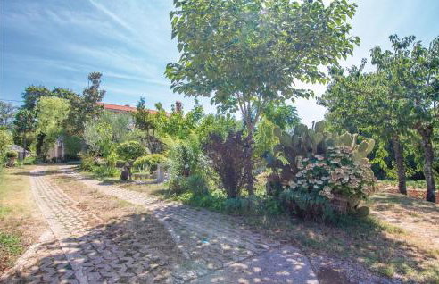 Apartment Modrusani Modrusani - Photo 15